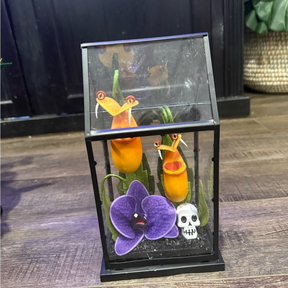 Elegant Black Terrarium with Orange and Purple Details